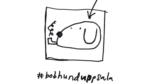 #bobhunduppsala