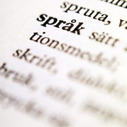 språkdialog