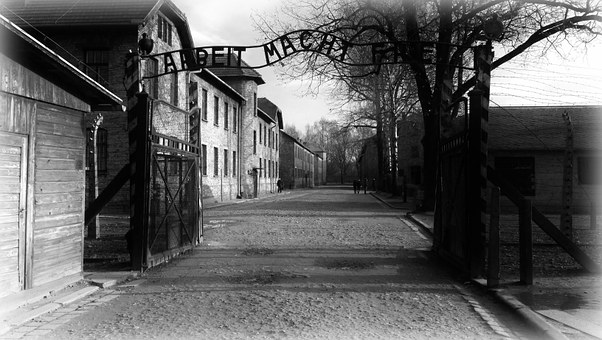 Entrén till Auschwitz