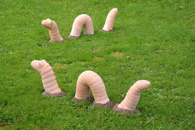 Skulptur daggmaskar