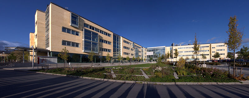 Blåsenhus (lyckliga)