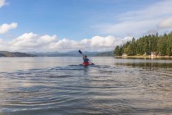 person som paddlar kajak (paddling)