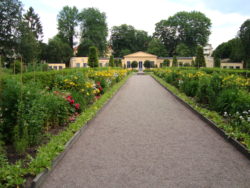 Linnéträdgården, orangeri