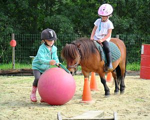 ponnyridning