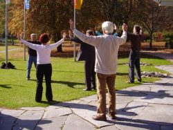 qi gong