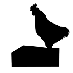 musikföreställning