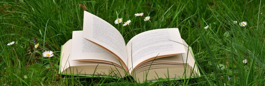 Öppen bok i gräset