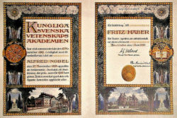 Fritz Habers Nobelprisdiplom i kemi