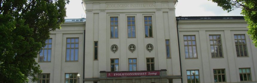 Evolutionsmuseet, samlingarna,