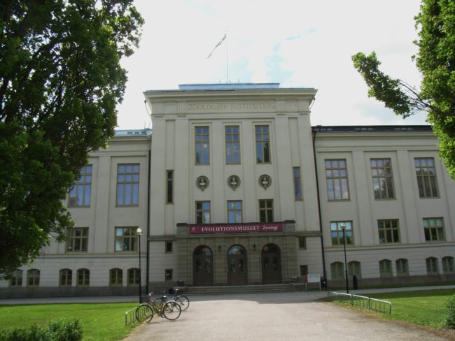 Evolutionsmuseet, samlingarna,