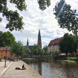 Picknick på flotte,