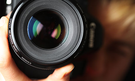 fotograf, djurfotografering