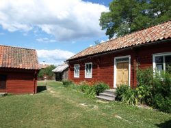 Disagården, Djuren