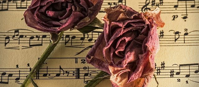 musik, sommarmusik,