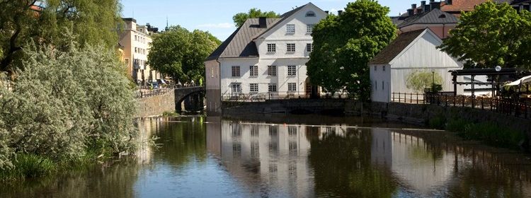 Dekorativ bild: Arkeologidagen på Upplandsmuseet