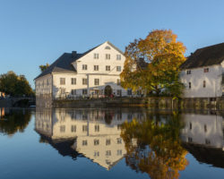 Fredagsvisningar (Dekorativ bild av Upplandsmuseet)