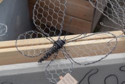 Slöjda på höstlovet med Länshemslöjdskonsulenterna (dekorativ bild av fjäril av hönsnät och ståltråd)