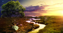 Sagor på amhariska på Gränbybiblioteket