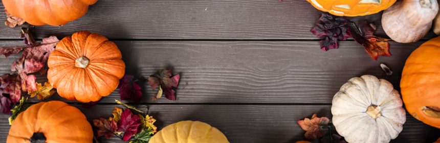 Höstlovsfest med Junis och UNF (dekorativ bild av pumpor)