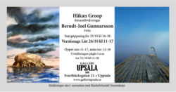 Utställning (informativ bild-all information framkommer i eventposten)