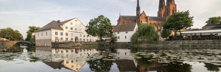 Upplandsmuseet (dekorativ bild)