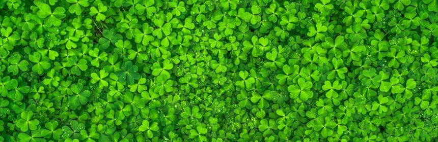 Att känna sig hemma (dekorativ bild)