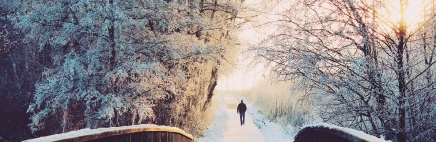 Naturreservatet (dekorativ bild)