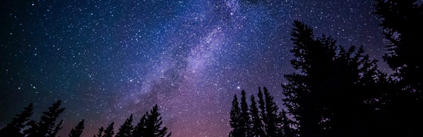 Mörkervandring i Storskogen, Storvreta (dekorativ bild)