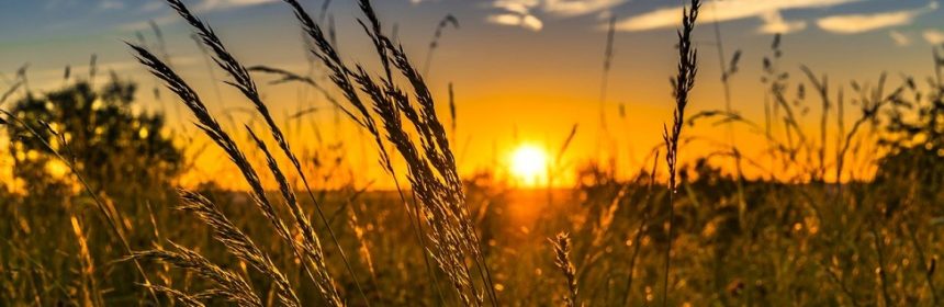 Hållbarhet (dekorativ bild)