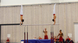 Juluppvisning (dekorativ bild)