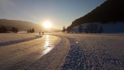 (dekorativ bild) kvällsåkning i Fjällnora friluftsområde