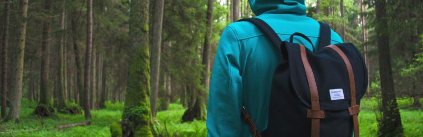 Vandring (dekorativ bild)