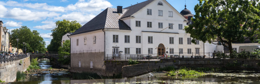 Järnålderns kvinnor (dekorativ bild)