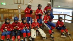 Unik flickor (dekorativ bild)