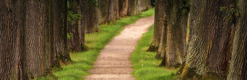 Med Upplandsleden ut. (dekorativ bild)