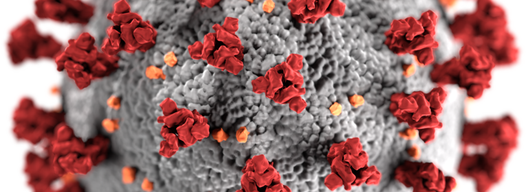 Coronaviruset